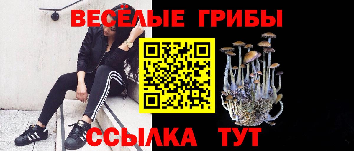 купить наркотики сайты  Вход с VPN  Рузаевка  Галлюциногенные грибы GOLDEN TEACHER 